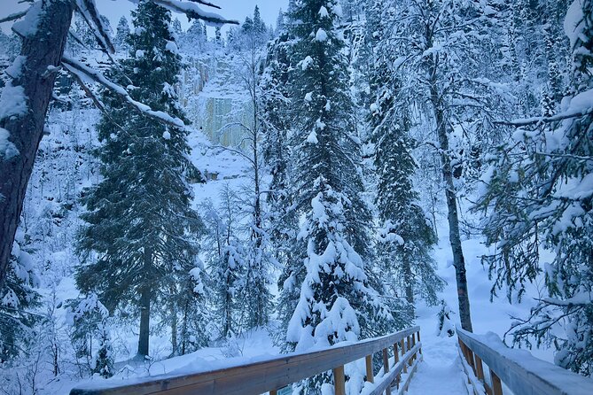 Korouoma Frozen Waterfalls Hiking Tour - Price and Value: Why $155.77 Can Still Feel Like a Deal