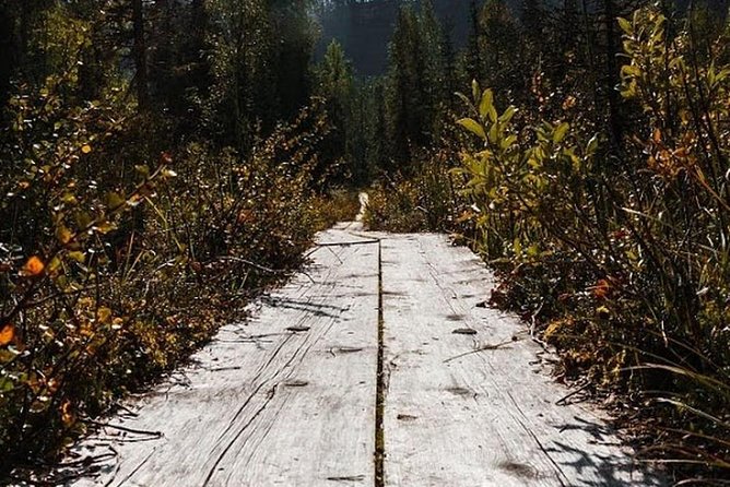 Korouoma National Park & Frozen Waterfalls Adventure - Korouoma Canyon Hike: Frozen Waterfalls and a Real 5 km Winter Trail