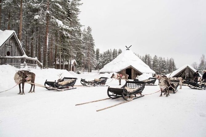 Kuoksa Reindeer Farm Visit with a Short Sleigh Ride - Key Highlights You’ll Actually Notice