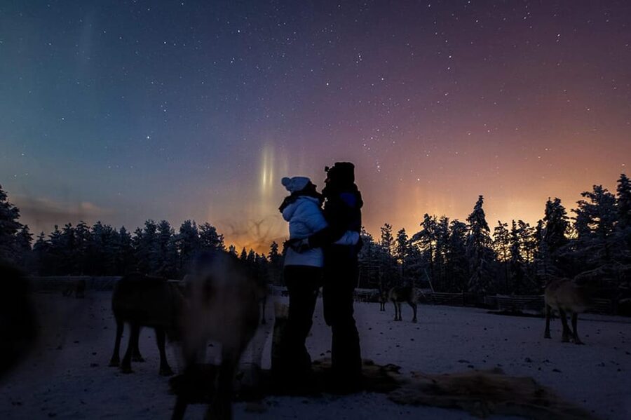 Kuusamo: Reindeer Farm Visit - Kujala Reindeer Farm in Kuusamo: what this visit really is