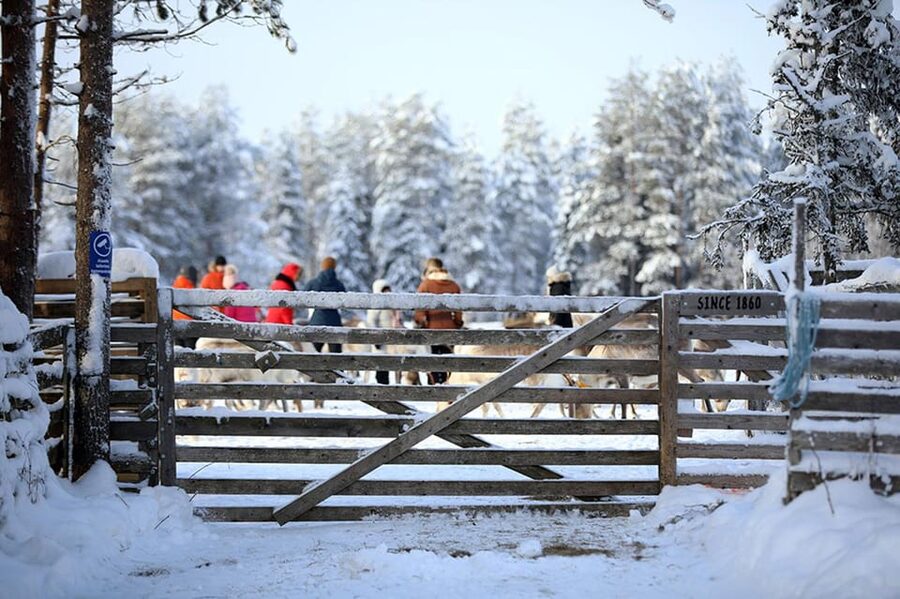 Kuusamo: Reindeer Farm Visit - The real takeaway: an authentic, short hit of Kuusamo life