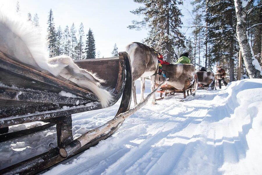 Kuusamo: Reindeer Sleigh Ride and Farm Visit - Kujala Reindeer Farm in Kuusamo, and what you actually do there