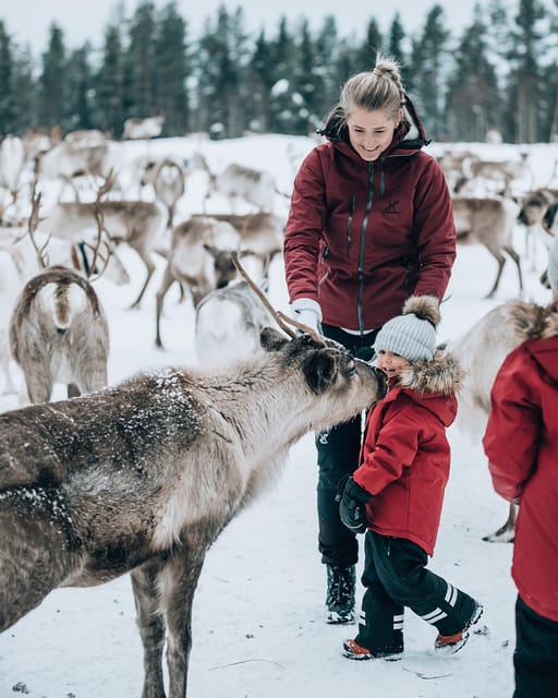 Kuusamo: Reindeer Sleigh Ride and Farm Visit - Who should book this Kuusamo reindeer farm visit