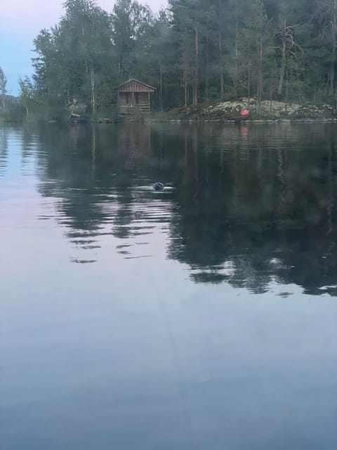 Lake Saimaa story cruise by Ecoboat in Puumala - Key Points You Should Know Before You Go
