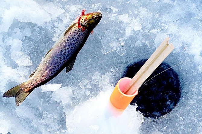 Lakeside Sauna Trip with Ice Fishing and Ice Swimming - Pickup, timing, and small-group pacing in Rovaniemi