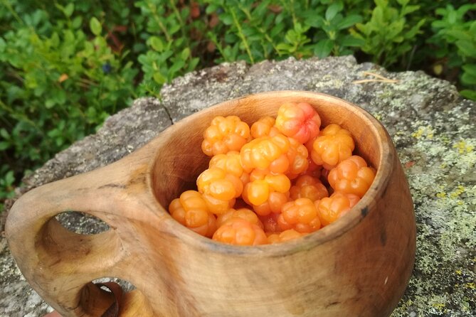 Lapland Berry Day Experience - Why the 10:00 am start and season-based pickup matter