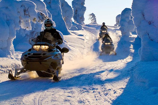 Lapland Family Snowmobile Safari from Rovaniemi - The campfire break: warm berry juice and Lappish sausages