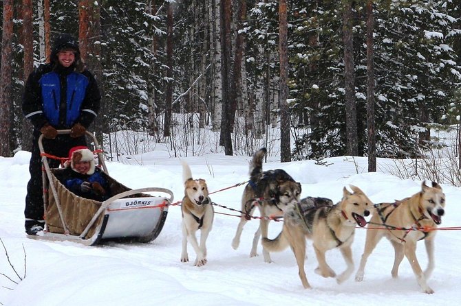 Lapland Husky Safari from Saariselkä - Meeting husky puppies and saying goodbye
