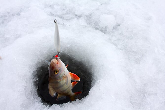 Lapland Ice Fishing Experience from Rovaniemi - Drilling through thick ice, then fishing with instruction