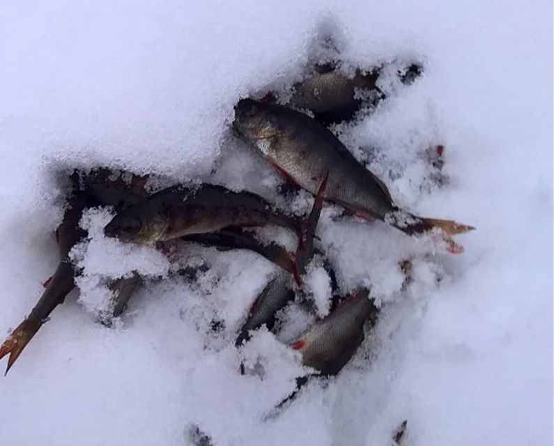 Lapland: Ice Fishing, Floating & BBQ Snow Adventure - What to Wear (So the Cold Does Not Steal Your Fun)
