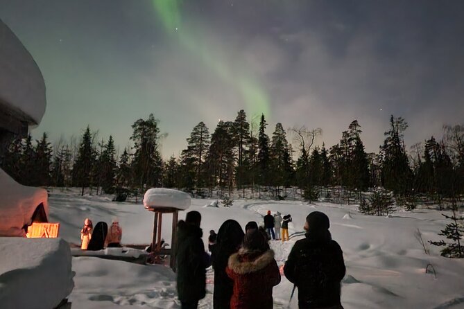 Lapland In A Day - Reindeer, Sledding, Snowmobile & Nature - Snowmobile-Pulled Sleds Through the Snowy Forest