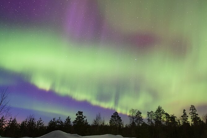 Lapland In A Day - Reindeer, Sledding, Snowmobile & Nature - The Lantern-Lit Forest Trail: When the Pace Slows