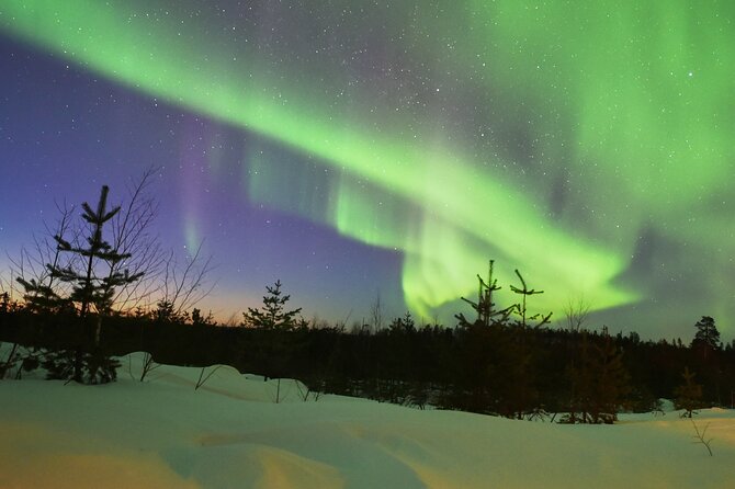 Lapland In A Day - Reindeer, Sledding, Snowmobile & Nature - Weather and Timing: The Real Impact on Your Day