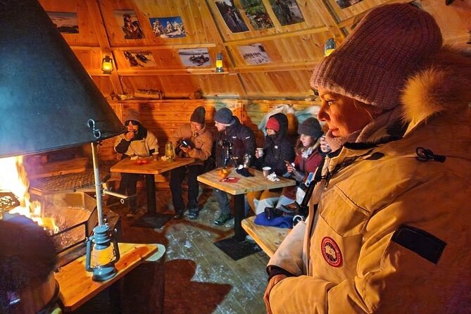 Lapland In A Day - Reindeer, Sledding, Snowmobile & Nature - Meeting at Koskikatu, Pickup by WhatsApp, and the Small-Group Advantage