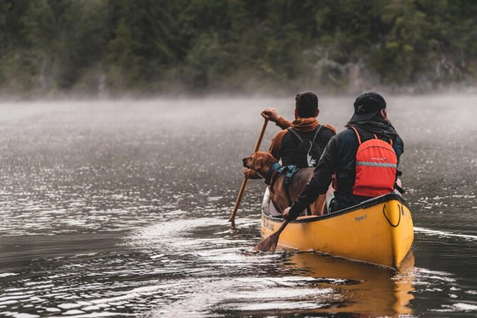 Lapland Kayak Adventure in Rovaniemi - Evening Summer Light and the 10 PM Sky Effect