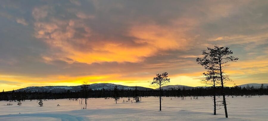 Lapland: Private Snowmobile Safari with arctic Local Guide - Luosto Private Snowmobiling That Stays Personal (Not a Big Group Parade)