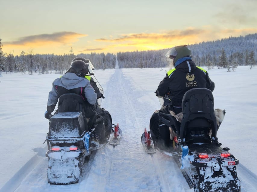 Lapland: Private Snowmobile Safari with arctic Local Guide - Evening Slots and Northern Lights Odds: When Your Timing Matters