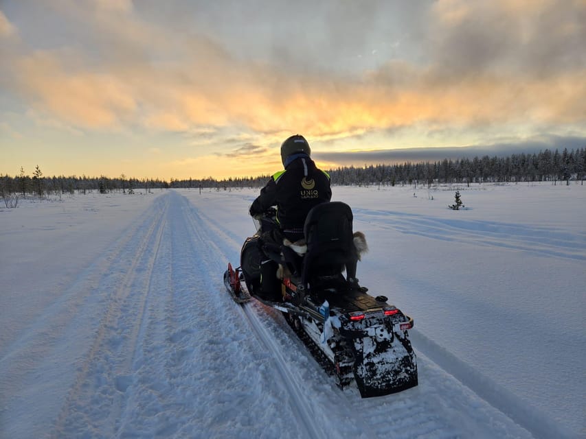 Lapland: Private Snowmobile Safari with arctic Local Guide - Getting There: Pickup Radius, Timing Windows, and Where Parking Fits