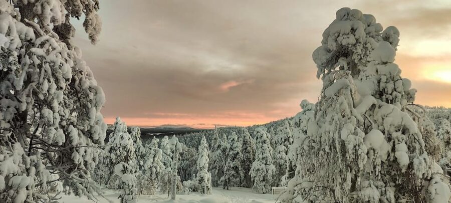 Lapland: Private Snowmobile Safari with arctic Local Guide - How the Ride Works: Training, Safety, and Heated Gear