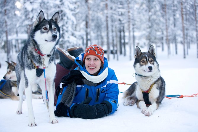 Lapland Reindeer and Husky Safari from Rovaniemi - Reindeer and Husky in One Morning: How This Combo Fits Lapland Time