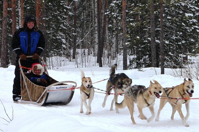 Lapland Reindeer and Husky Safari from Rovaniemi - Why the Souvenirs and Small Details Matter More Than You Think