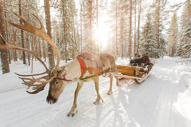 Lapland Reindeer Safari from Rovaniemi - Quick highlights to know before you book