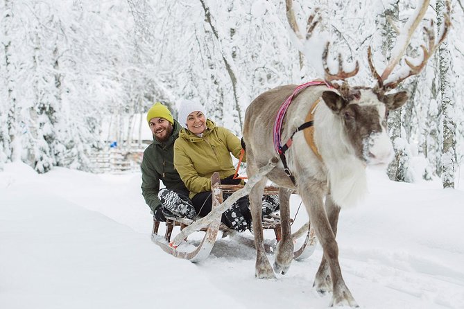 Lapland Reindeer Safari from Rovaniemi - Hotel pickup in Rovaniemi, and why the timing matters