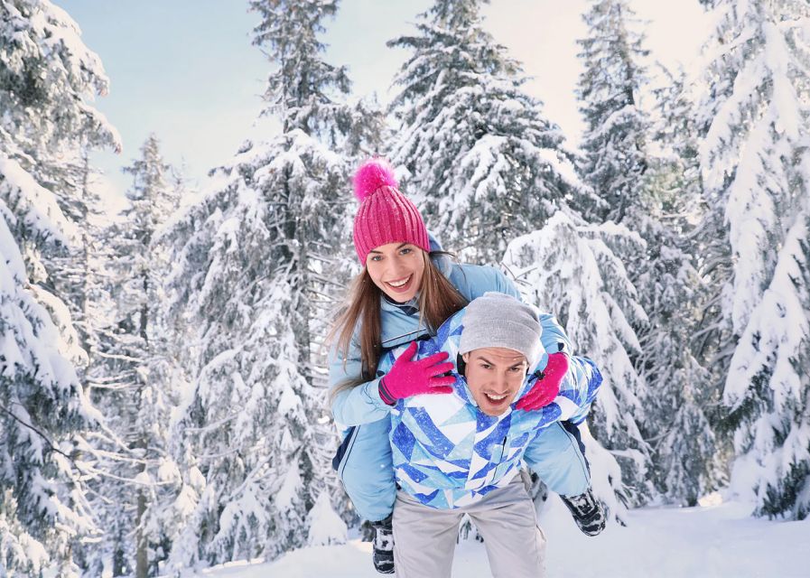 Lapland: The Frozen Waterfalls of Korouoma Tour - Key highlights to watch for