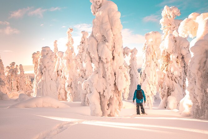 Lapland Winter Experience - Key Highlights You Should Care About