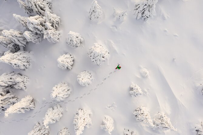 Lapland Winter Experience - Hotel Pickup and Timing: Getting There Without Winter Stress