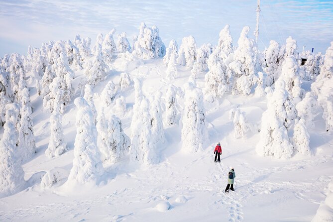 Lapland Winter Experience - Your Guide: Local Survival Talk That Doesn’t Feel Like a Lecture