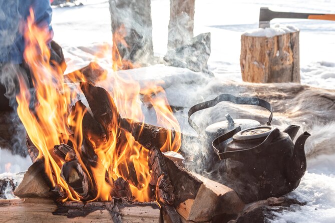 Lapland Winter Experience - Group Size, Weather, and the One Thing to Watch