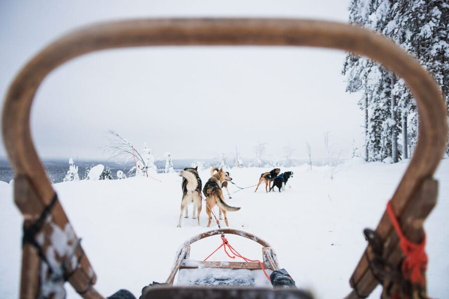 Levi: 15-Kilometres Self-Driving Husky Tour - Price and Value: Is $328 Worth It?
