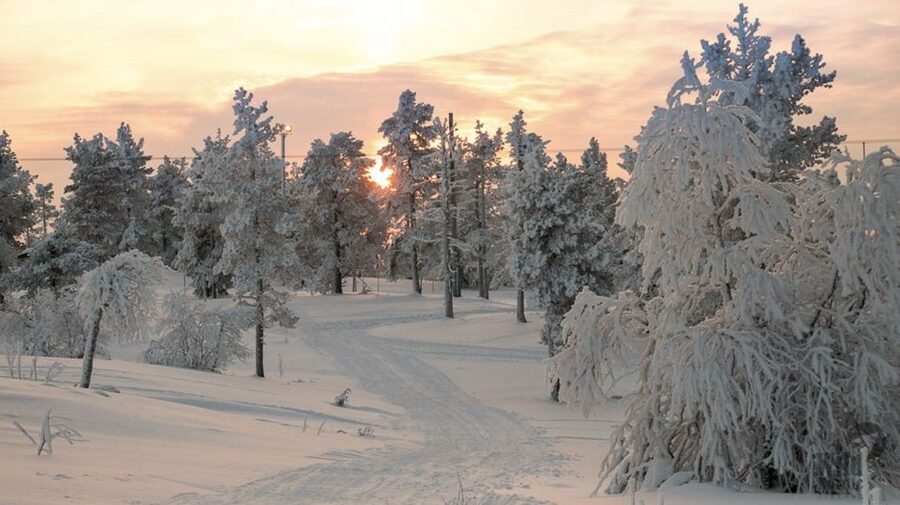 Levi: 4 Hour Snowmobile Safari to the Fells in Levi - Key points before you go