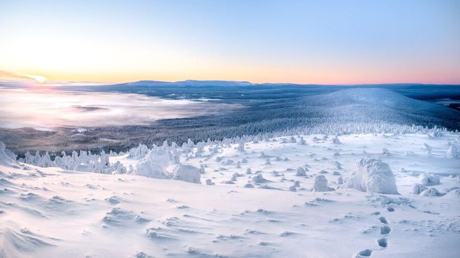 Levi: 4 Hour Snowmobile Safari to the Fells in Levi - Coffee break in a local café or Lapp tent with Finnish buns