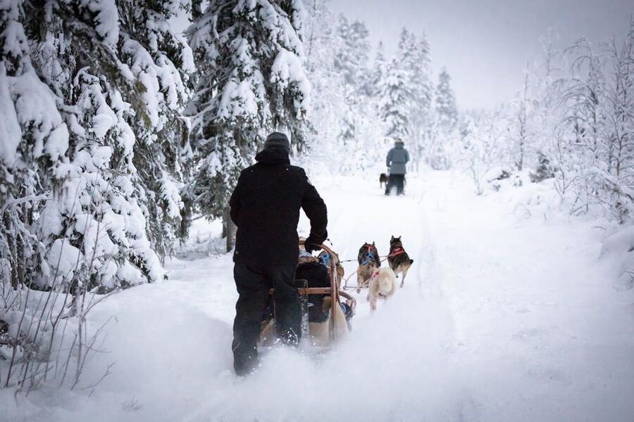 Levi: 7 km Self-Drive Husky Sledding Adventure - Getting to the husky farm, plus what to wear