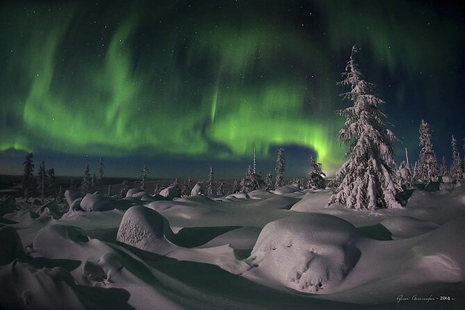 Levi: Aurora Borealis Tour and Stargazing Experience - Telescope plus phone app: better than guessing