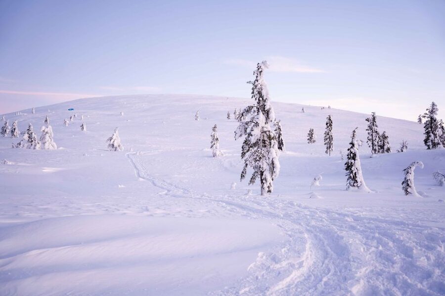 Levi: Backcountry Skiing Adventure - Key points that make this tour worth your time