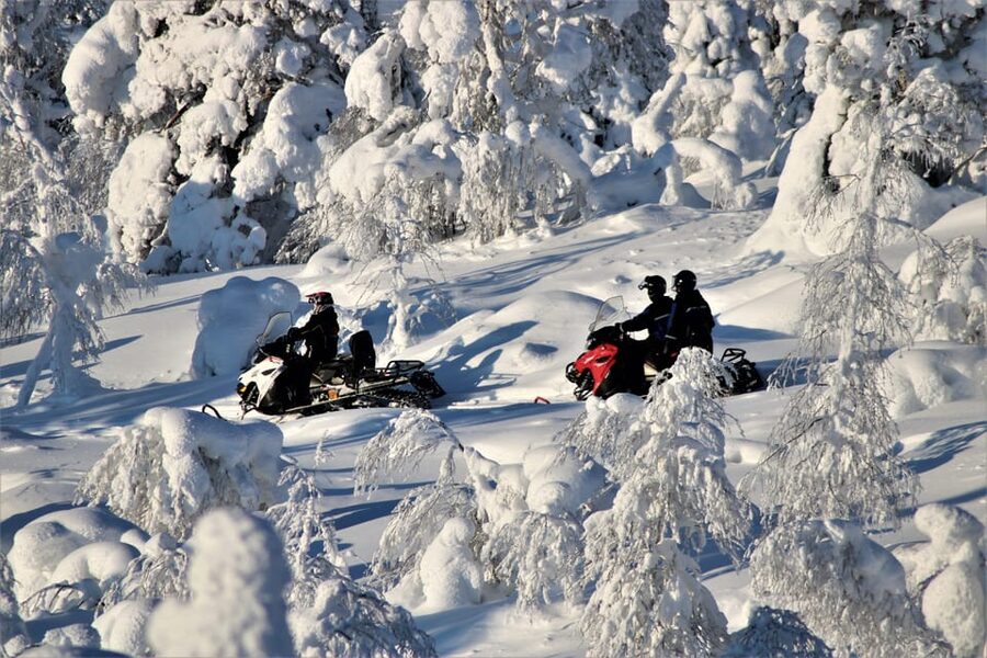 Levi: Easy Snowmobile Safari into the Nature - Two hours in Levi’s winter world: what it actually feels like