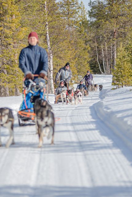 Levi: Evening Husky Sled Ride under the Northern Lights - The safety briefing that makes the ride smoother