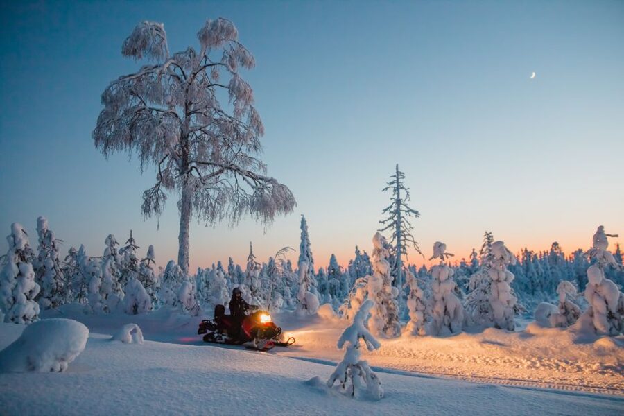 Levi: Evening Snowmobile Safari - The campfire stop in the woods: food, warmth, and Northern Lights stories