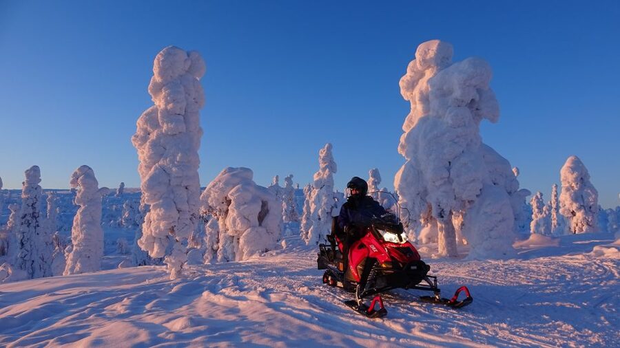 Levi: Evening Snowmobile Safari - Northern Lights: what you can hope for, and how guides adapt