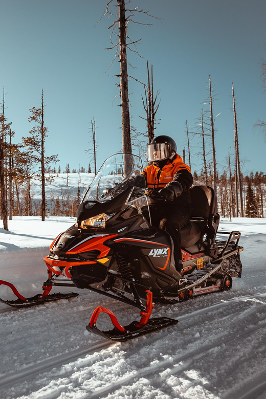 Levi: Full Day Snowmobile Safari to Wilderness - Price and Value: What $299 Really Buys You