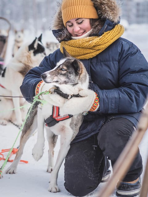 Levi: Guide-driven Husky Safari - Getting to Hissitie 11, then out to the dogs