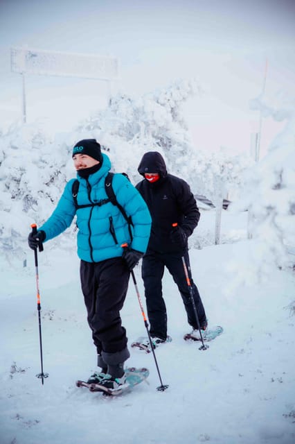 Levi: Guided Snowshoeing Adventure - Key Things I’d Not Skip on This Snowshoe Adventure