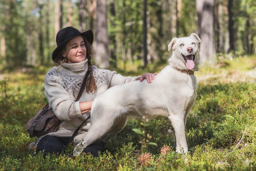 Levi: Horse and Husky Farm Visit with Juice and Cookies - A quick Lapland animal visit that still feels meaningful