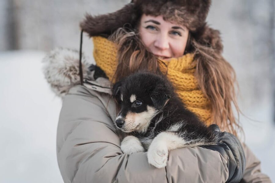 Levi: Horse and Husky Farm Visit with Juice and Cookies - The guided hour: huskies and the work behind winter sledding