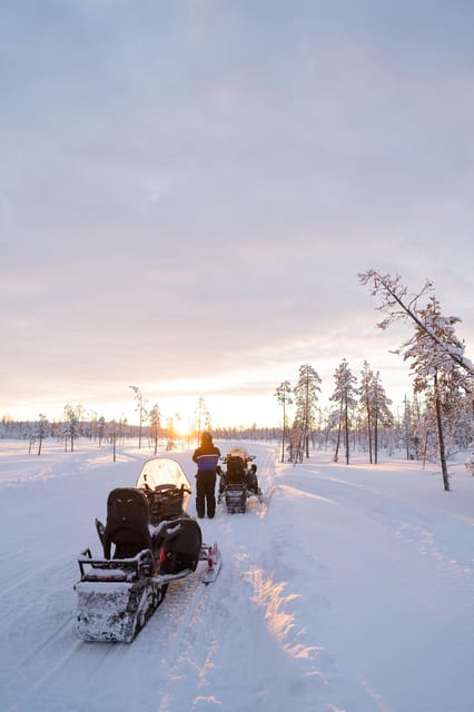 Levi: Husky and Reindeer Farm Visit with Snowmobiling - Reindeer farm stop: 500m sledge ride and herder stories