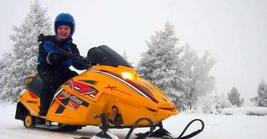 Levi: Lapland Family Snowmobile Safari - Quick take: what stands out