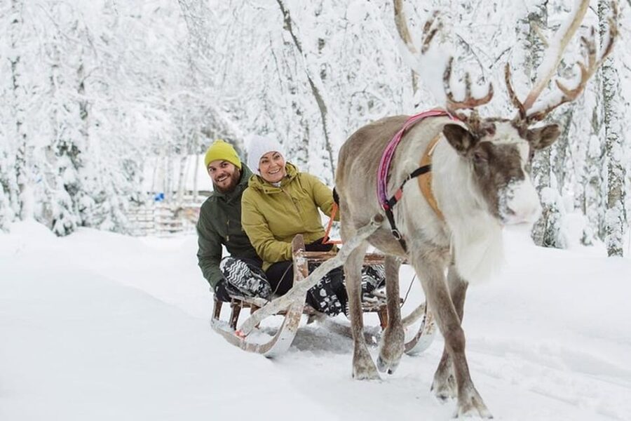 Levi: Lapland Reindeer and Husky Safari - The reindeer farm visit near Kittilä, and why it feels more real